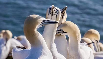 不热门但很关键:为什么“网红黑料”总和隐私泄露一起出现?看完你就懂我为什么不敢点。