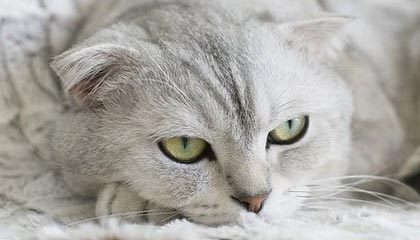 匿名投稿爆出细节:博主在派出所门口开撕,原因居然是导火索